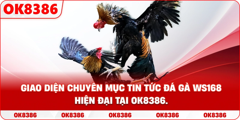 Giao diện chuyên mục tin tức đá gà WS168 hiện đại tại OK8386. Giao diện chuyên mục tin tức đá gà WS168 hiện đại tại OK8386.