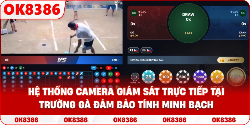 Hệ thống camera giám sát trực tiếp tại trường gà đảm bảo tính minh bạch. Hệ thống camera giám sát trực tiếp tại trường gà đảm bảo tính minh bạch.