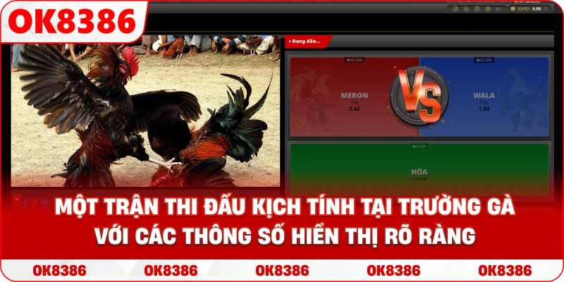 Một trận thi đấu kịch tính tại trường gà với các thông số hiển thị rõ ràng Một trận thi đấu kịch tính tại trường gà với các thông số hiển thị rõ ràng